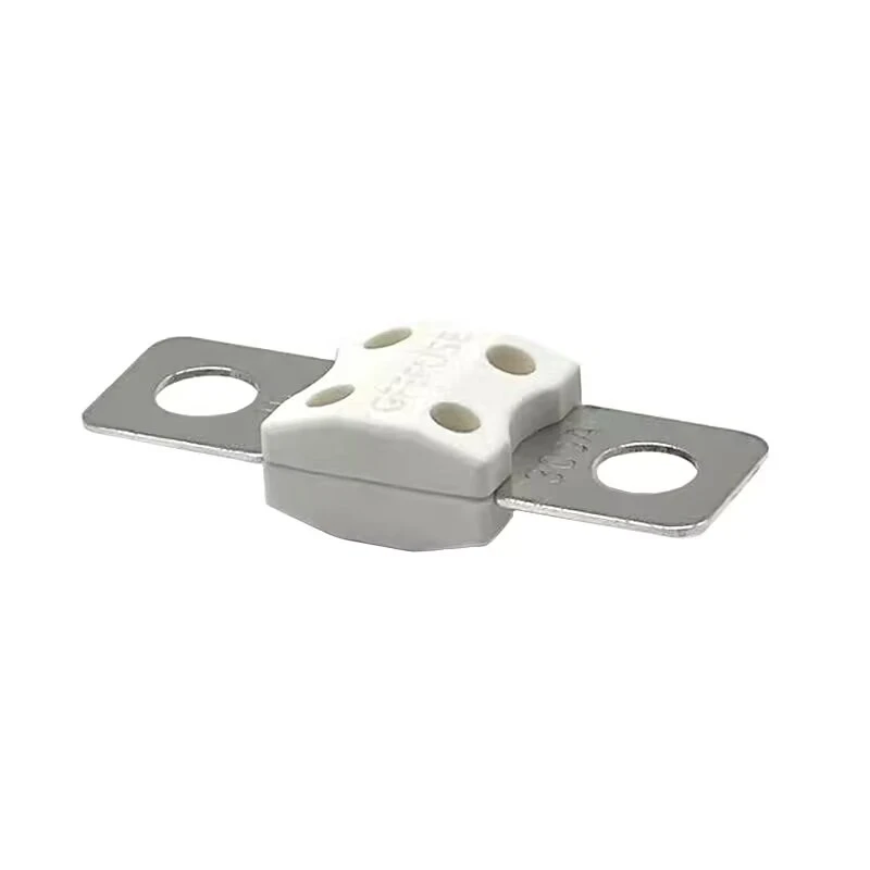 Bolt-on fuse ANL/B100SF39 High Current Bolt Down Fuse