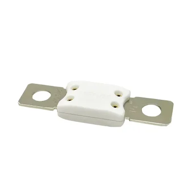 Automotive Fuse ANL-B100BSF5